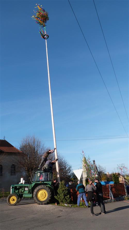 Image (2)